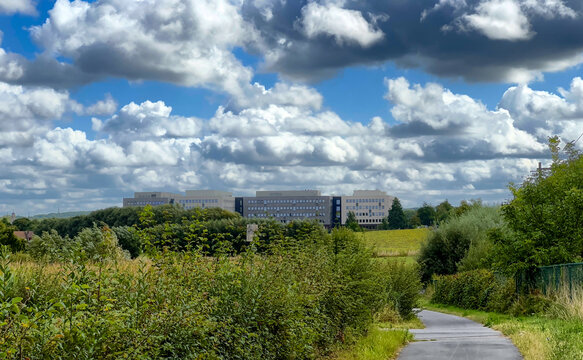 Winding path toward modern complex, narrow paved walkway cutting through tall native shrubs and wild grasses, dramatic cumulus
