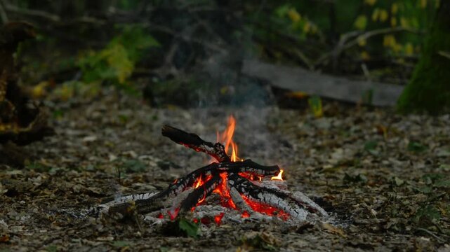 Campfire Wood Structure Burning in Forest Loop. Seamless loop video of a campfire wood structure burning with sound in a forest. Natural woods fire pit with smoke and flames.
