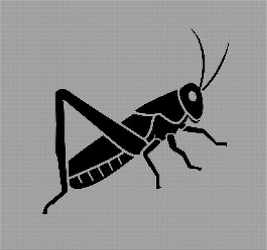 vector illustration of a grasshopper