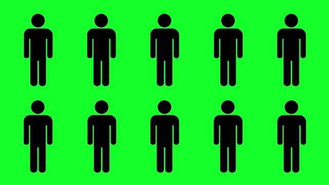 sequential stickman people appearing one by one on green screen, human figure population animation for chroma key motion graphics animation.
