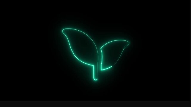 Neon line leaf icon with neon saber effect. black background. 4k Motion Graphic.