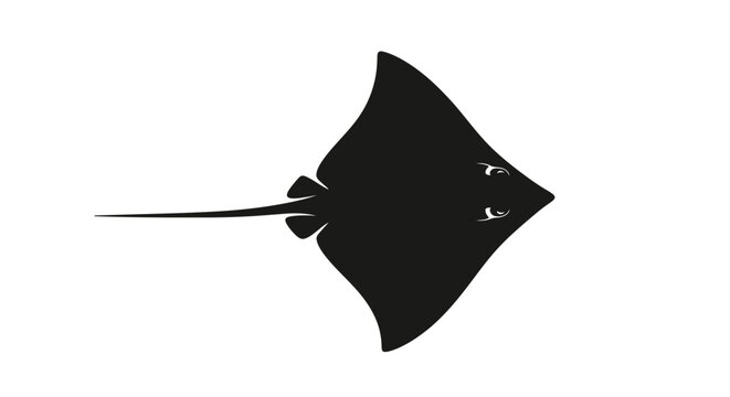 Black silhouette of a stingray on white background with sea creature marine life underwater wildlife swimming species profile animal finned with ocean