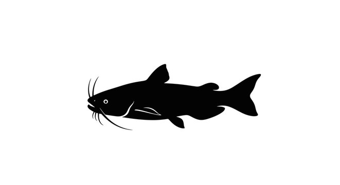 Black catfish silhouette on white background with freshwater seafood animal icon