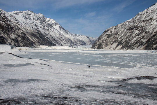 Dog running on iced over lake in Alaska