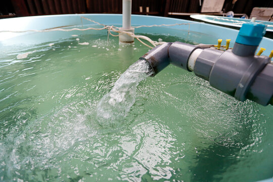 Recirculating Aquaculture System RAS Water Flow and Filtration for Sustainable Fish Farming