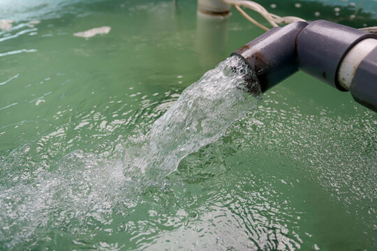 Recirculating Aquaculture System RAS Water Flow and Filtration for Sustainable Fish Farming