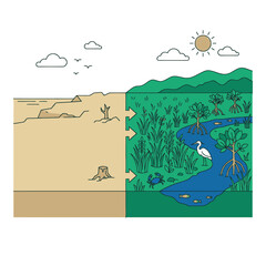 Naklejka premium Ecosystem Restoration Shows Barren Land Becoming Lush Wetland Habitat