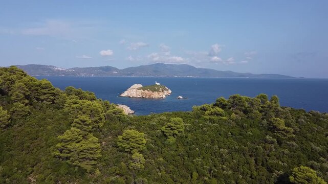 Cinematic drone footage of a secluded beach surrounded by dense forest.