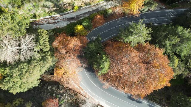 Cinematic drone footage of the autumn forest surrounding Moniatis in Limassol, Cyprus.