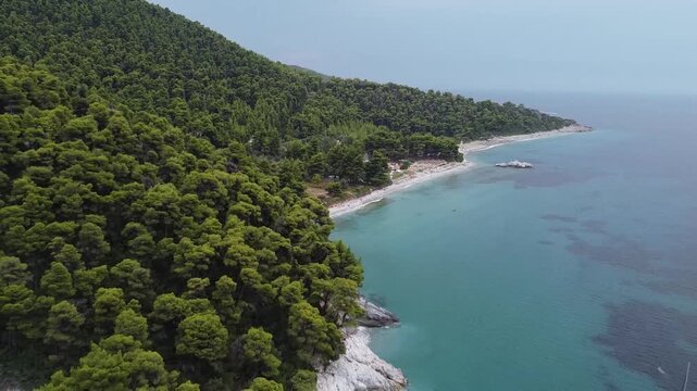 Cinematic drone footage of a beautiful beach surrounded by lush forest.