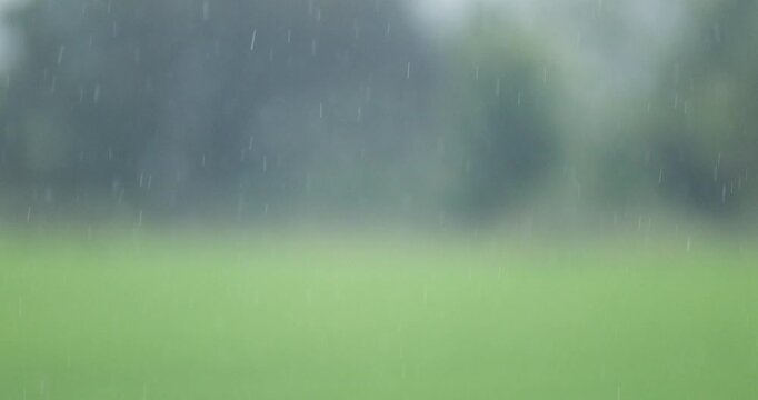 Abstract rain bokeh background with soft focus and falling raindrops. Blurred natural backdrop with copy space, ideal for banners, websites, presentations, and creative design