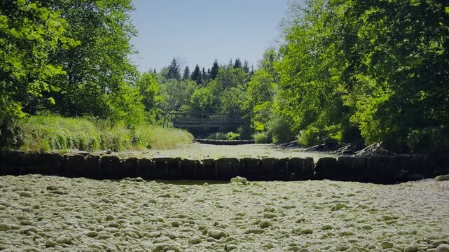 Dry and exposed sections of the Mangfall riverbed between Weyarn and Miesbach in southern Bavaria, Germany, with only a small amount of remaining surface water amid prolonged drought.