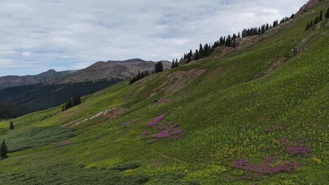 mountain landscape in the summer with trails