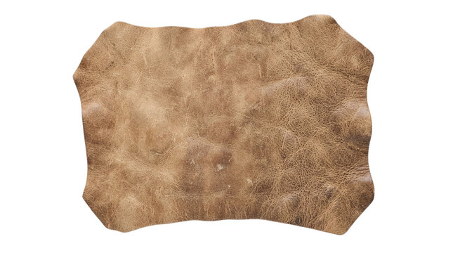 Natural brown leather hide texture isolated on transparent background