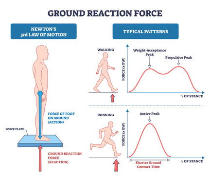Ground reaction force brief diagram illustrating Newton s law with human figure on a force plate and walking-running GRF curves, explaining action reaction during stance, transparent background.
