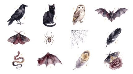 Fototapeta premium watercolor victorian mourning animal symbols set