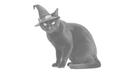 cat feline halftone halloween kitten silhouette witchcraft superstition spooky holiday gothic isolated pet illustration graphic october creepy vector © Josnara