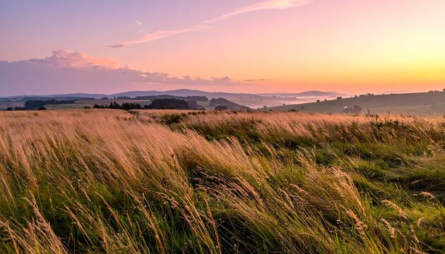 Golden Fields Sunset with Rolling Hills and Pastel Sky