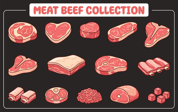 Colorful illustrated collection of various beef cuts for food packaging and culinary inspiration