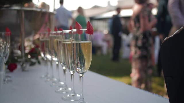 Champagne and strawberries row of glasses summer party wedding celebration