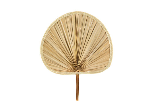 traditional handcrafted palm leaf fan isolated on white background