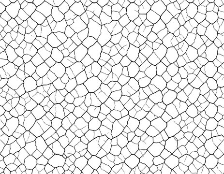 Seamless cracked earth texture vector illustration, dry soil pattern with irregular black lines