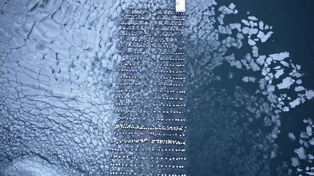 Aerial drone view looking down at wooden stubs from an abandoned dock extending from Lake Superior during winter