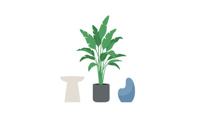 Fototapeta premium Potted indoor houseplant with green leaves sits next to a small side table and a blue fabric bean bag chair against a clean white wall.