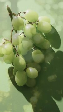 Composition of white grapes over trees background