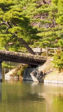 Traditional Japanese Garden Bridge Over Pond with Pine Trees