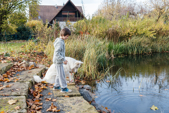 Boy and dog interacting by pond in autumn