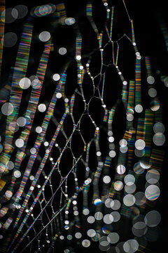 Abstract spiderweb with rainbow diffraction and glowing bokeh lights on black background