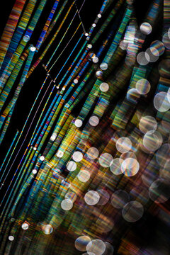 Abstract spiderweb with rainbow diffraction and glowing bokeh lights on black background