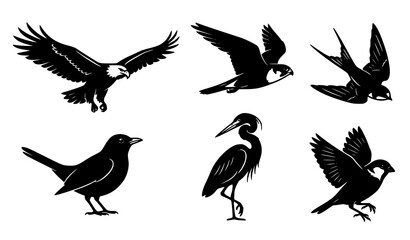 Fototapeta premium Six Black Bird Silhouettes in Flying and Standing Poses Vector Collection