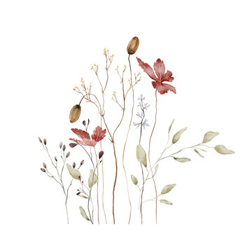 Watercolor Autumn Botanical Bouquet. Red Maple Leaves, Seed Pods, Dried Grasses and Eucalyptus on White Background. Hand-painted illustrations. Asymmetrical composition with varying stem heights