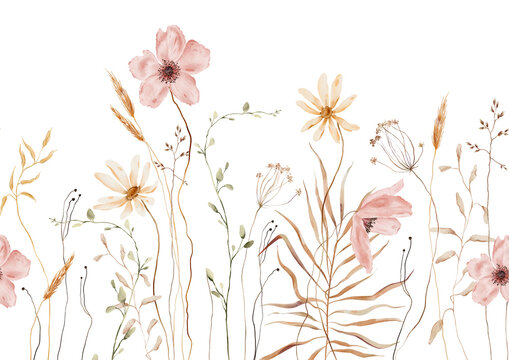 Watercolor Meadow Seamless Border. Pink Anemones, Yellow Daisies, Wheat Stalks and Dried Grasses on White Background. Horizontal repeating banner with Organic naturalistic flow wild Botanical flowers