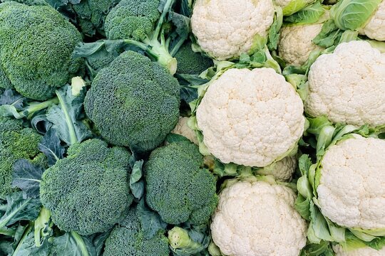Fresh broccoli and cauliflower heads with green leaves