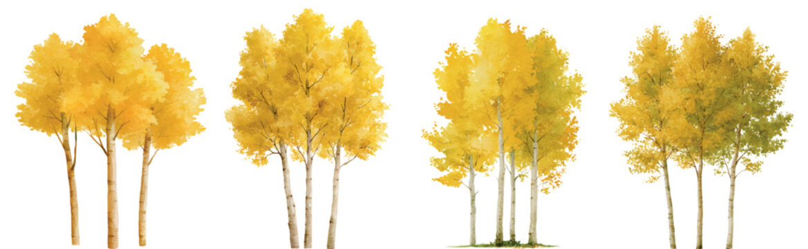 Autumn trees showcasing vibrant golden and yellow foliage, providing a natural watercolor illustration of a fall forest or woodland environment on a white background