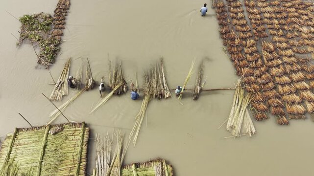 Static drone footage with a gradual upward gimbal tilt reveals agricultural workers retting harvested jute in water, numerous jute bundles, and rural Bangladesh from a changing aerial view.