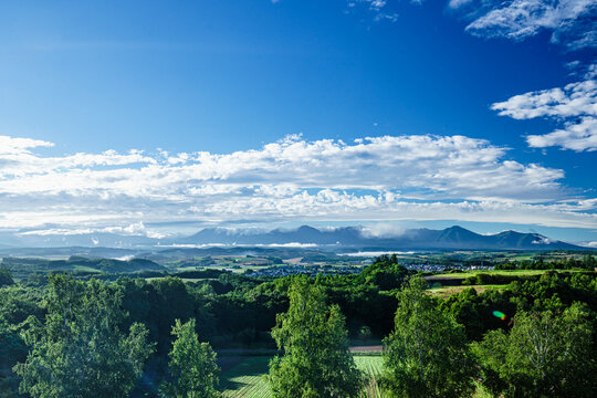 北海道　美瑛　No8