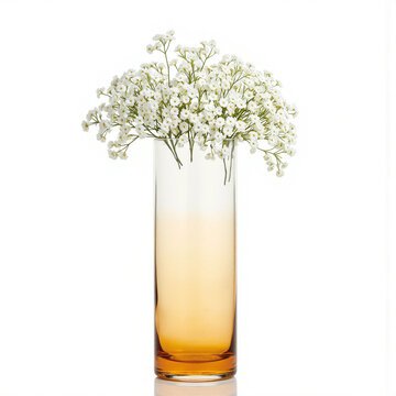 Gradient Glass Cylinder. Delicate Gypsophila (baby's breath) cloud-like arrangement in tall ombre glass vase fading from amber to clear, vertical