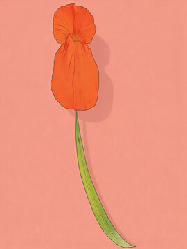 Strings of Slipper Wort and Rhymes Tied by Ribbon, The Nested Melody of Castanet Constructed by Reddish Orange Bloom and Yellowish Green Grass Referring to the Image of Traditional Russian Doll