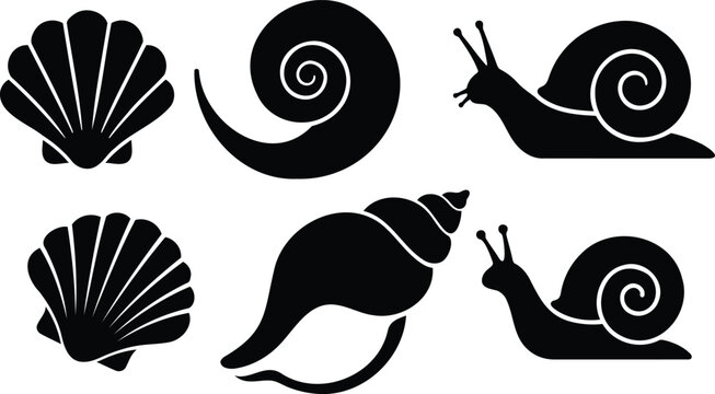 Set of black silhouette snail and sea shell icons