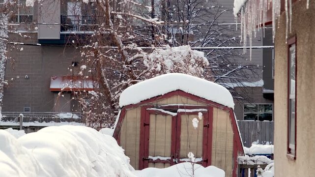 A snow-covered wooden storage shed sits in a winter yard with icicles hanging from a foreground roof and bare, snow-dusted trees behind it.