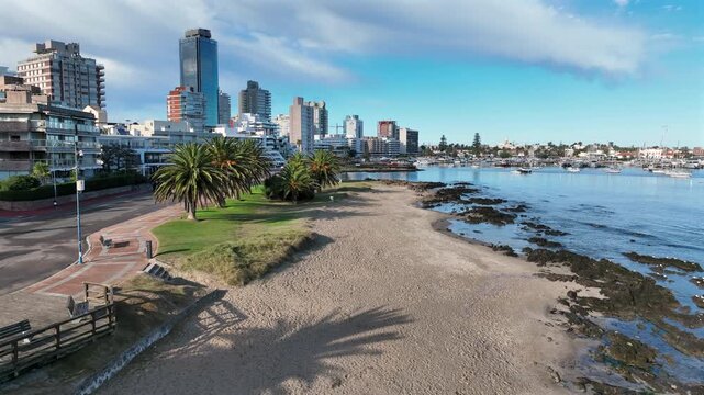 Playa Mansa beach on the Punta del Este waterfront with palm trees, city skyline, and marina