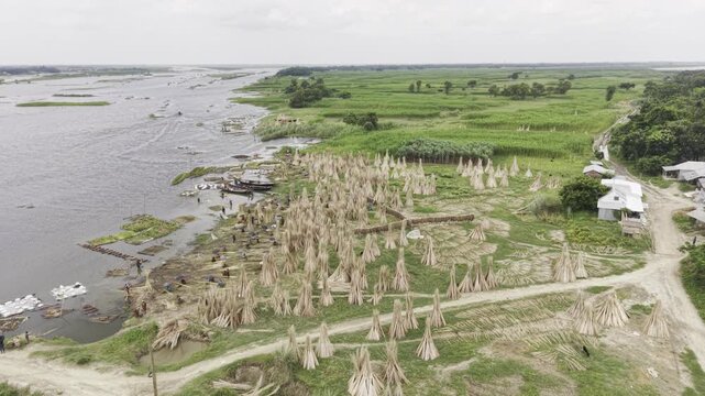 Slow forward drone flight over a rural jute processing area in Bangladesh, showing rows of harvested jute bundles, the Padma River, boats, green farmland, village homes and a cloudy blue sky.