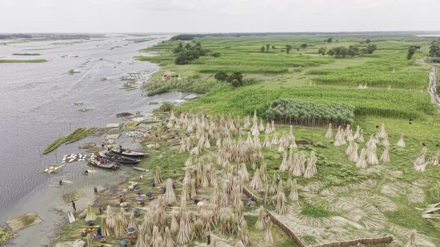Backward-moving drone footage reveals harvested jute bundles arranged for drying beside the Padma River in Bangladesh, with boats, green farmland, rural homes and a cloudy blue sky.