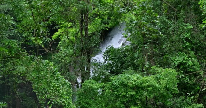 A stunning view of a rainforest showcasing a beautiful waterfall amidst dense greenery.