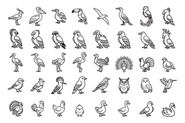 Naklejka premium Set of various wild and domestic birds line icons vector illustration