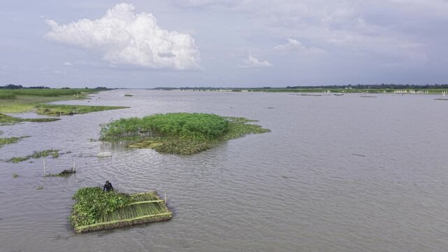 Forward drone flight over a rural river in Bangladesh, showing people placing jute nets in the water, floating aquatic vegetation, expansive river scenery, green banks and a cloudy blue sky.
